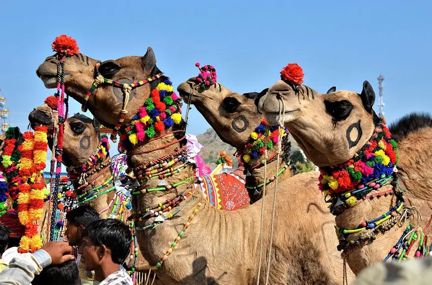 Romantic Rajasthan Tour with Jaisalmer – 14 Days Royal Heritage & Desert Journey