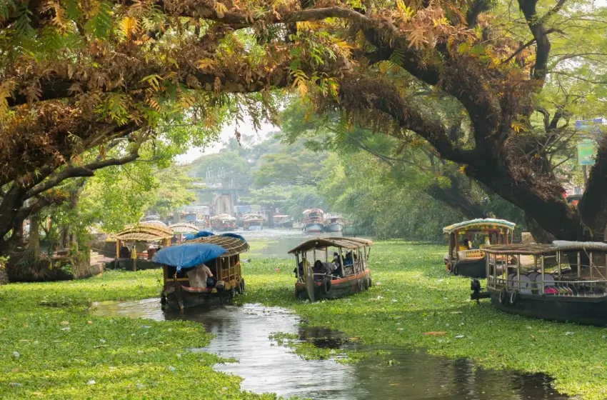Classic Kerala Backwaters and Hill Stations