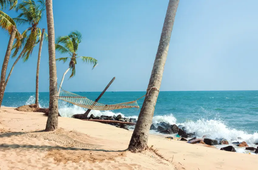 South India Royal Palaces and Luxury Resorts Tour