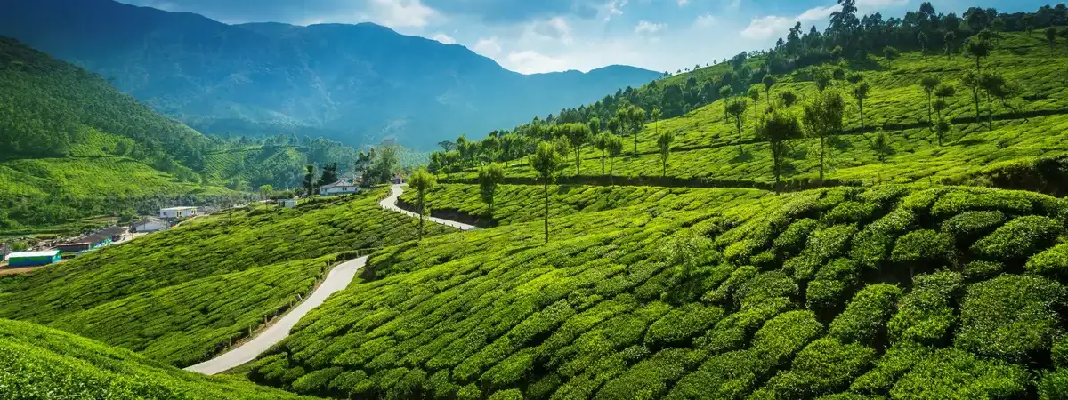 South India Women Only Cultural Tour