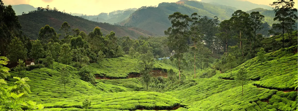 South India Offbeat Villages and Local Culture Tour