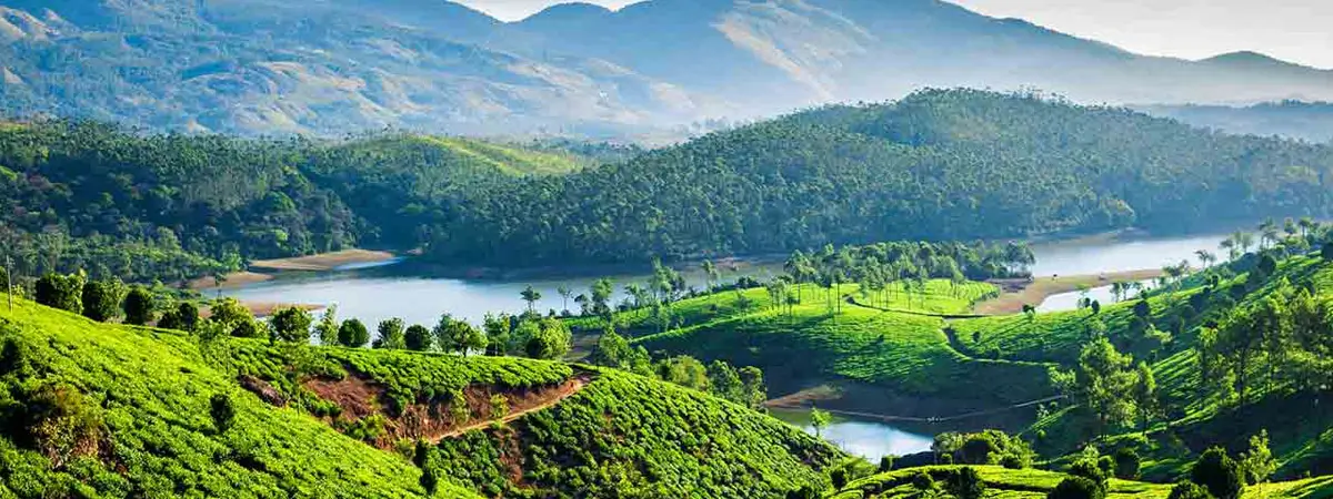 South India Heritage & Nature Journey – From Royal Palaces to Backwaters