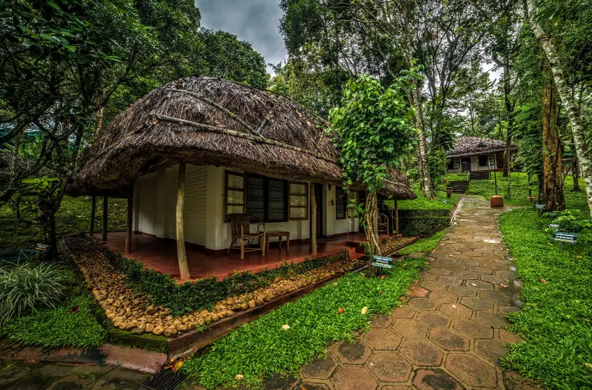 Kerala Slow Travel and Boutique Heritage Tour